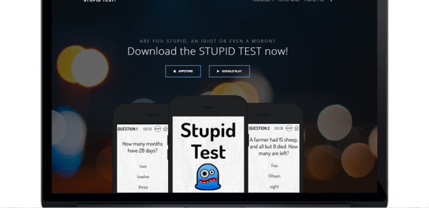 Stupid Test Application Website